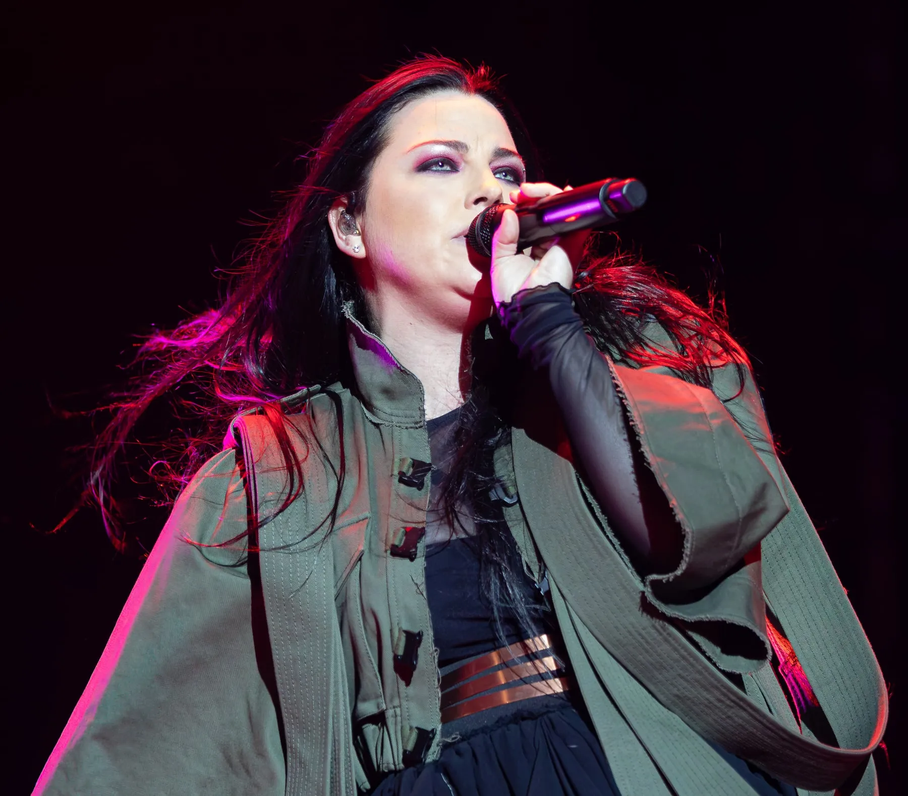 Amy Lee band photograph