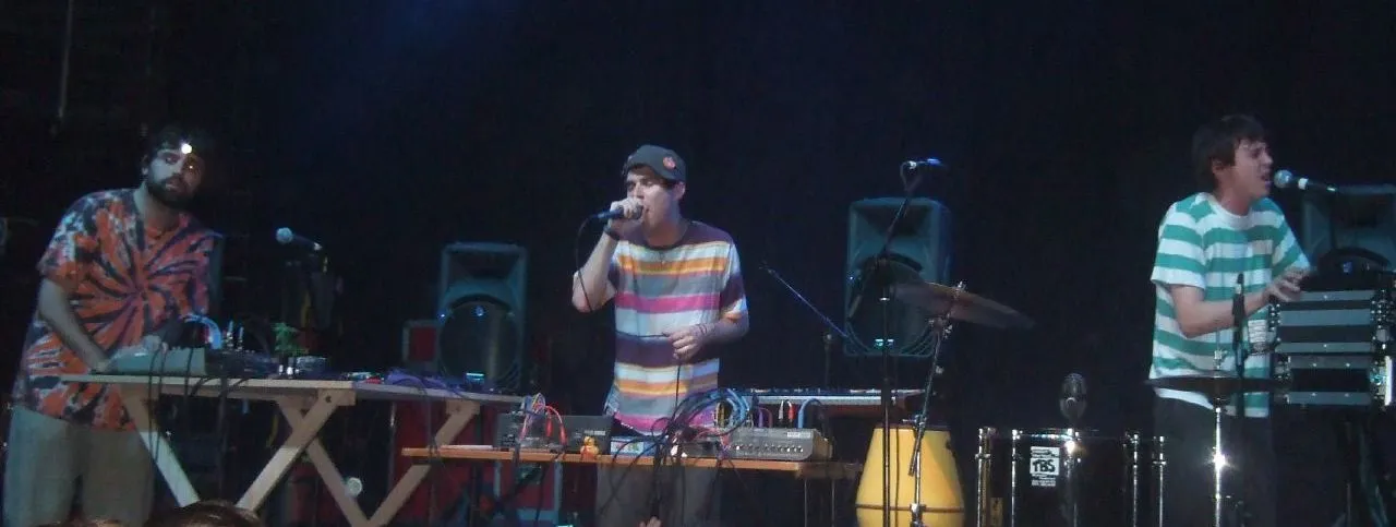 Animal Collective band photograph