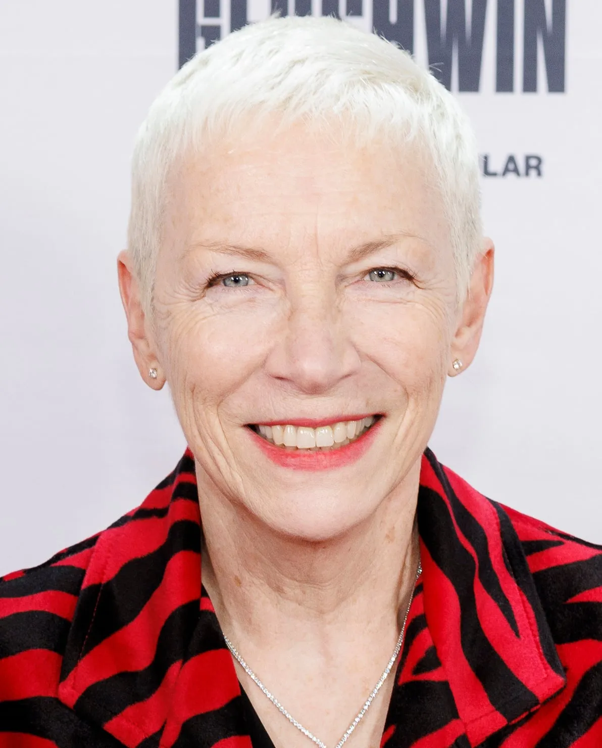 Annie Lennox band photograph