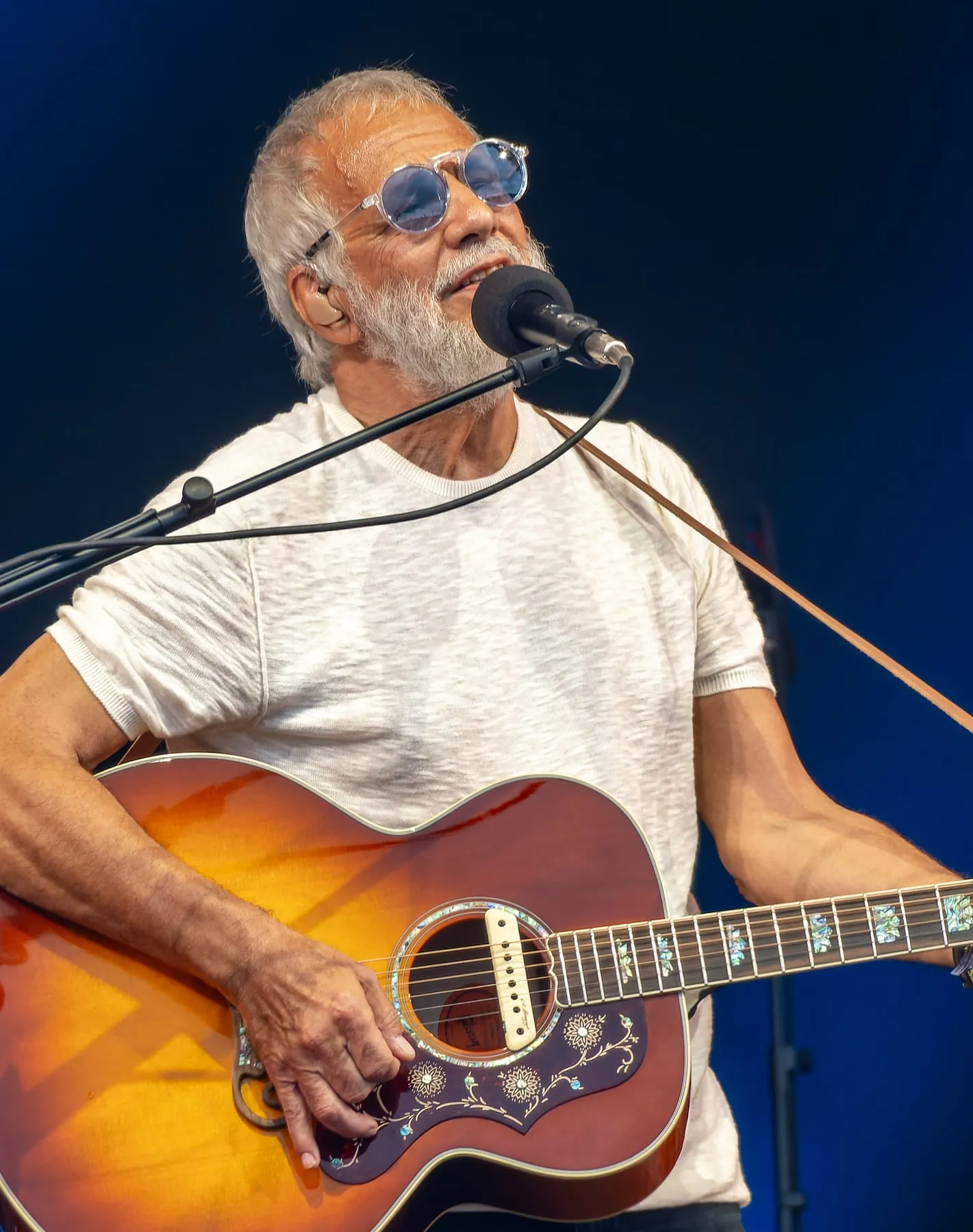 Cat Stevens band photograph