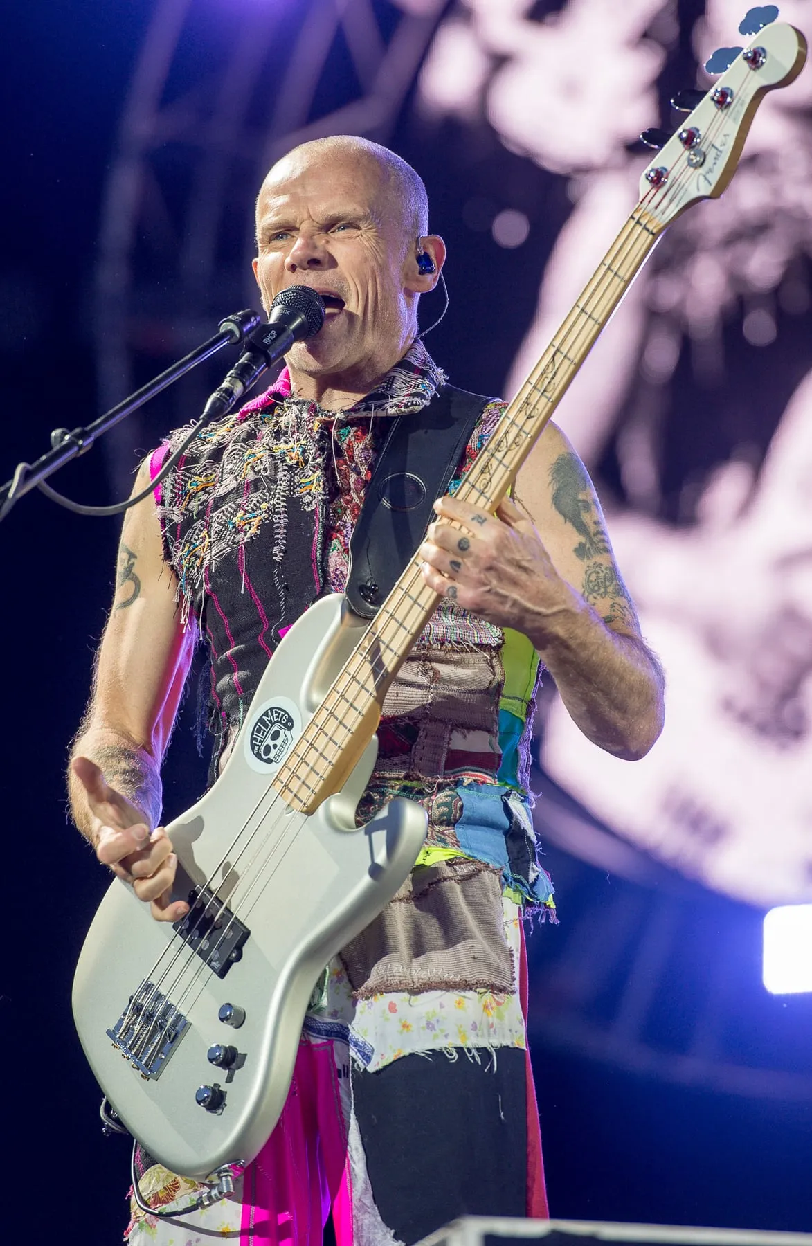 Flea band photograph