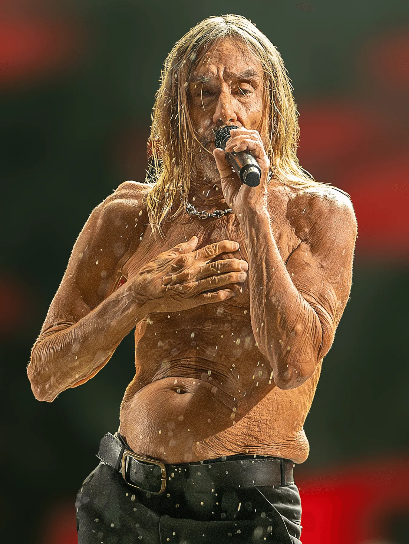 Iggy Pop band photograph
