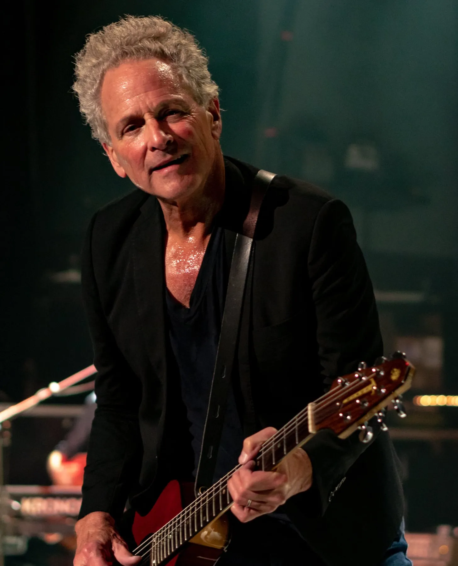 Lindsey Buckingham band photograph