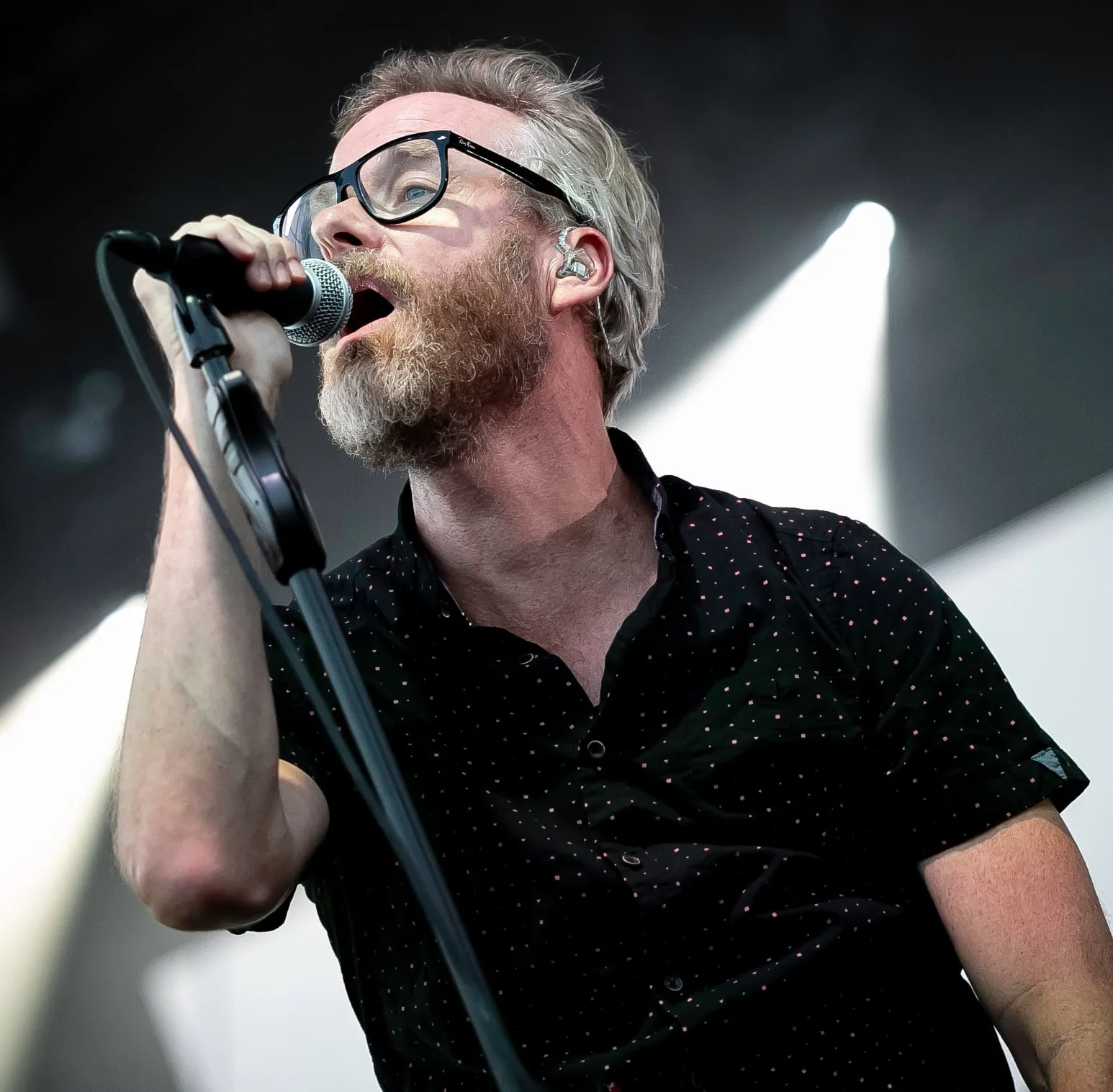Matt Berninger band photograph