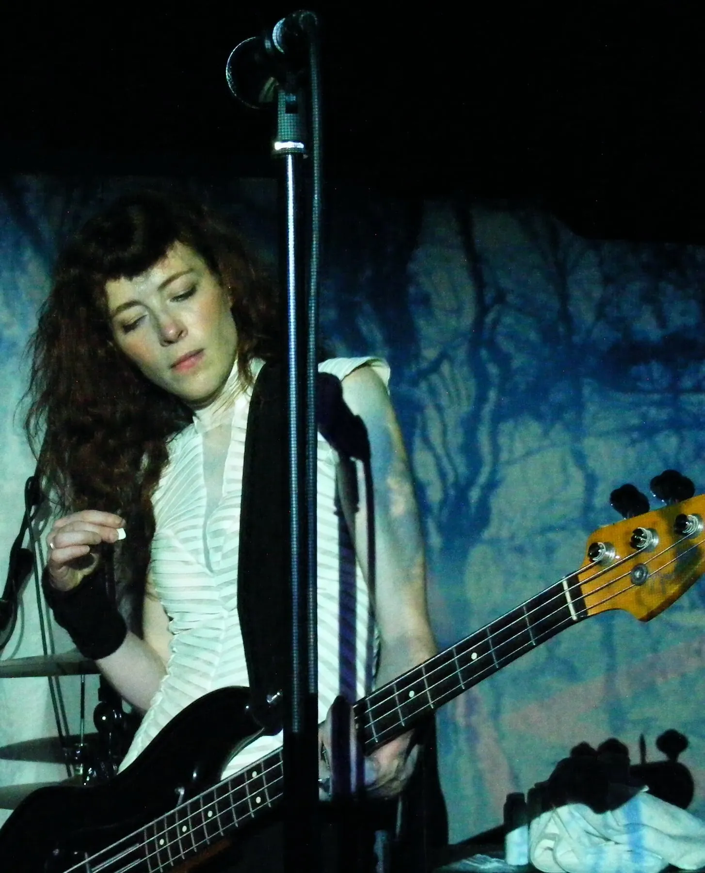 Melissa Auf der Maur band photograph