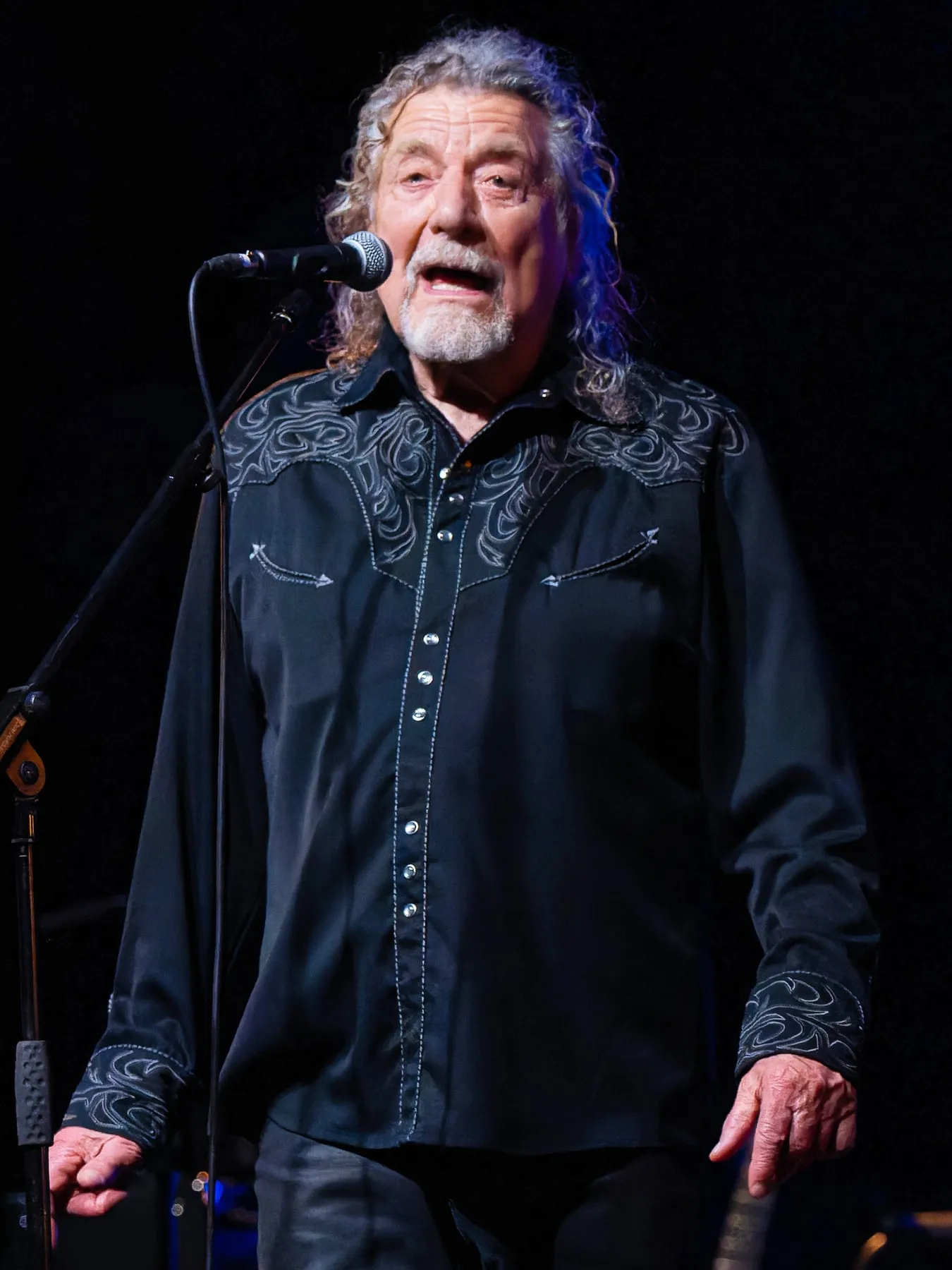 Robert Plant band photograph