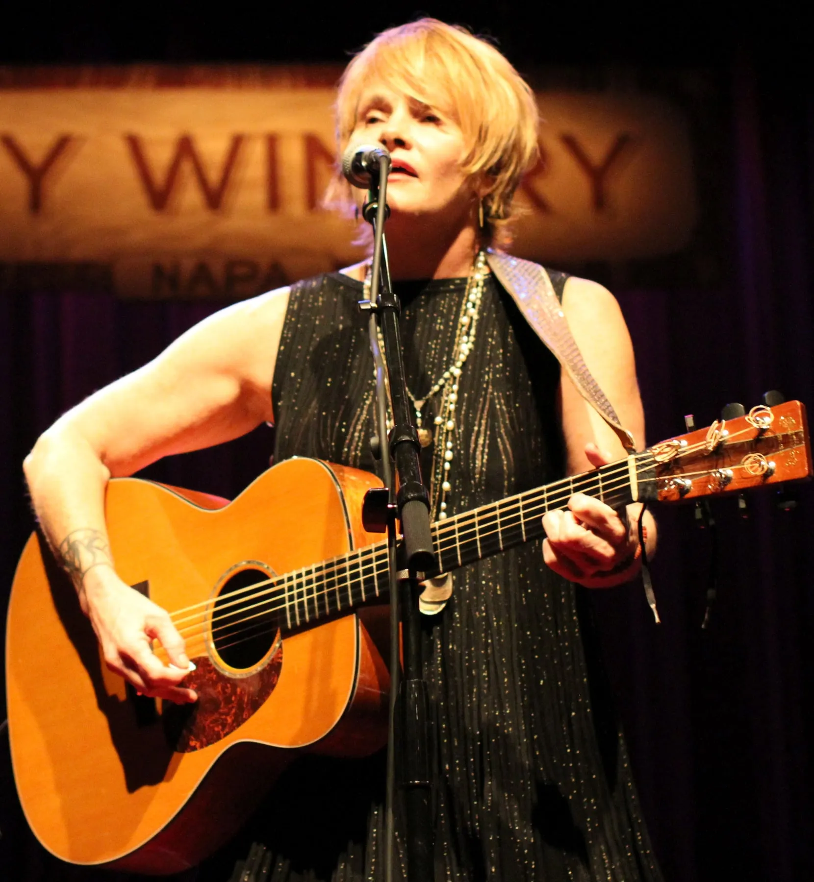 Shawn Colvin band photograph