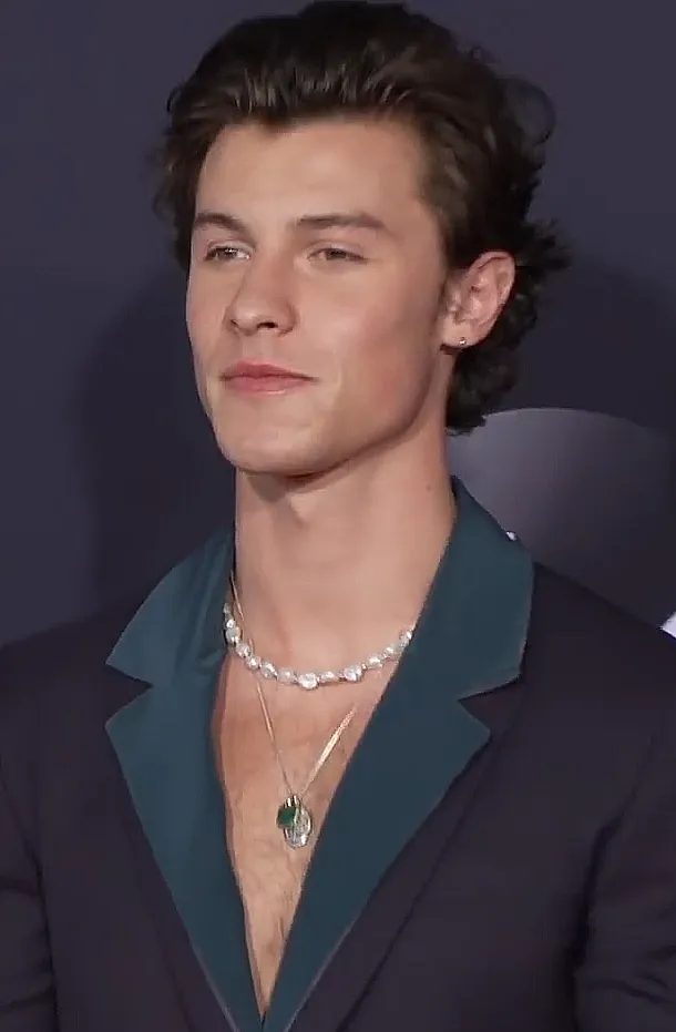 Shawn Mendes band photograph