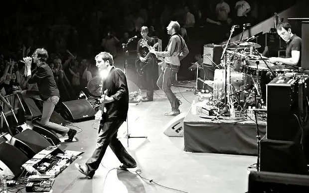 Suede band photograph