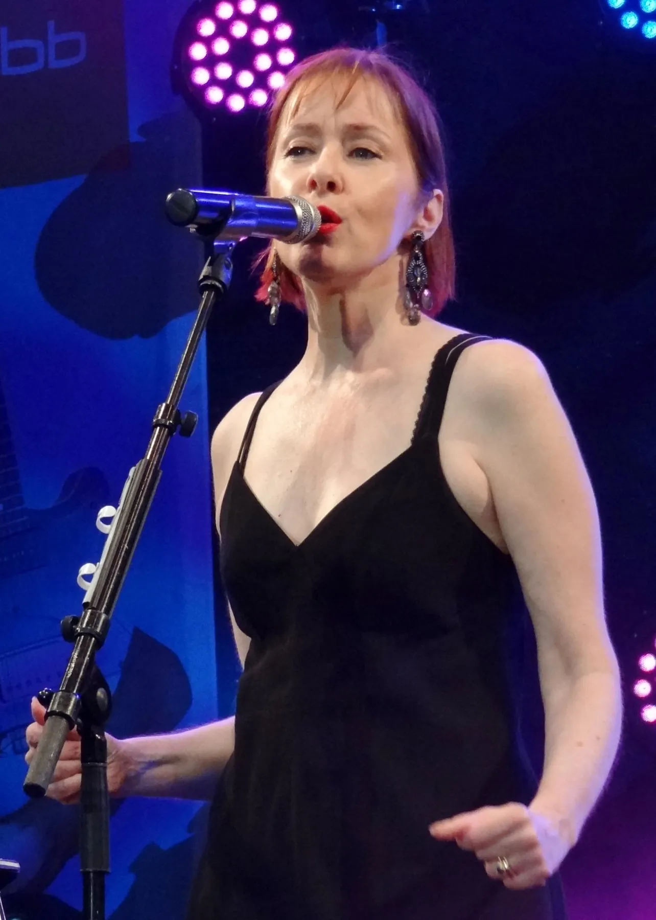 Suzanne Vega band photograph